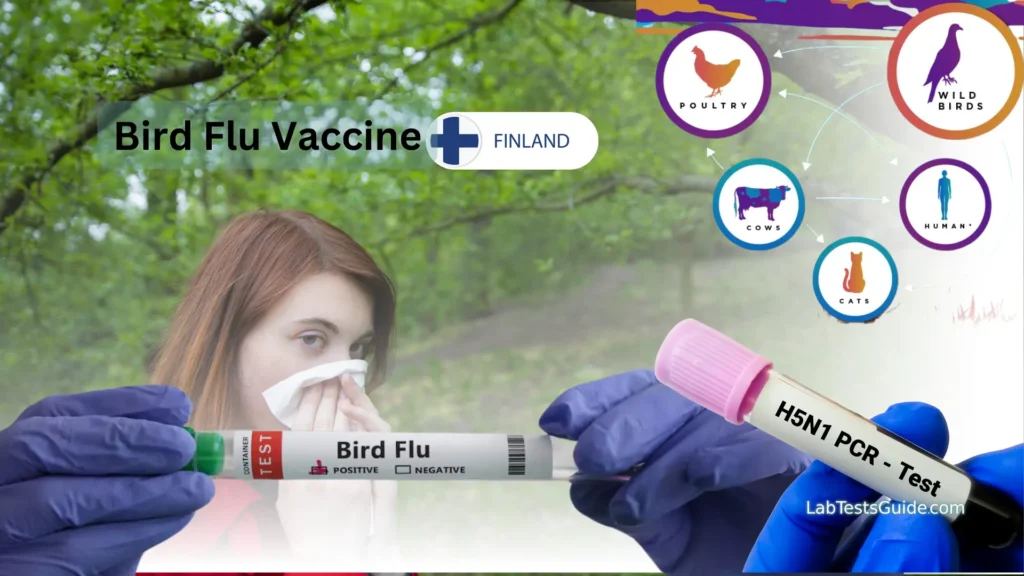 Finland to Offer Bird Flu Vaccinations to At-Risk Residents in a World First