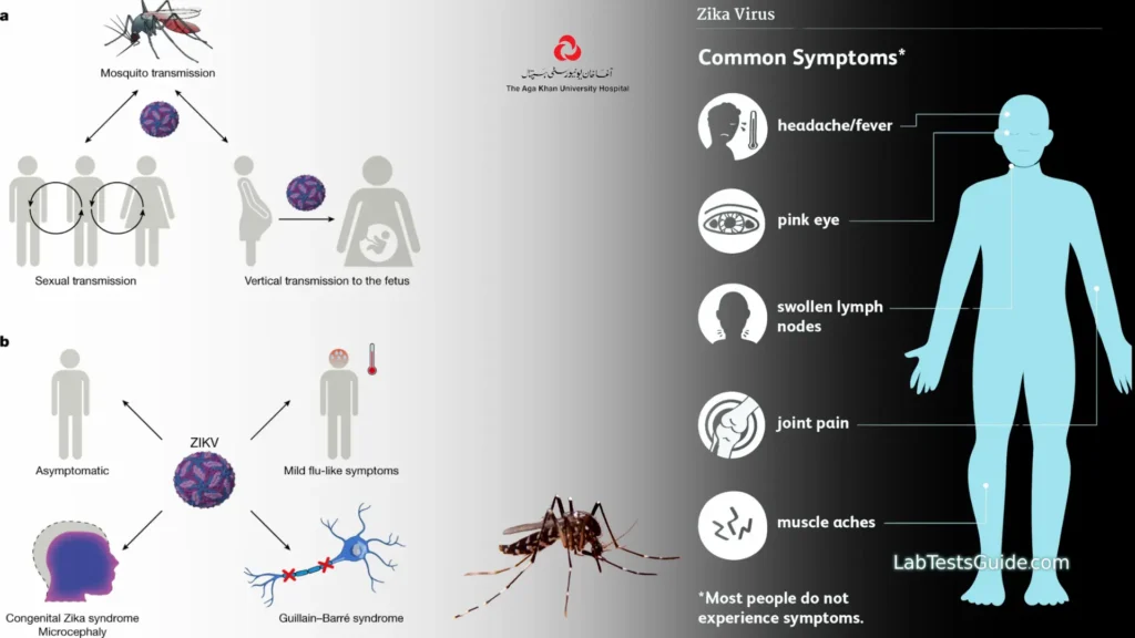 Researchers Confirm Zika Virus in Pakistan Following 2021 Outbreak