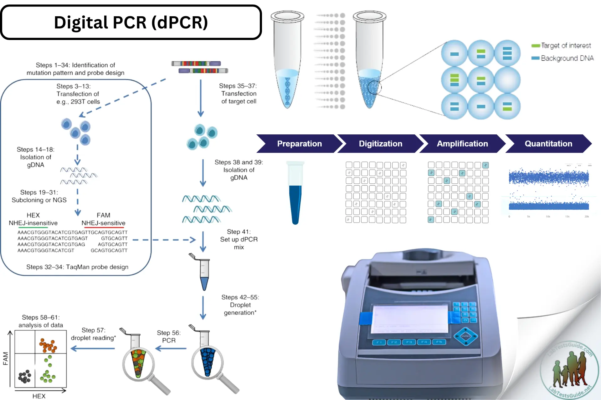 Digital PCR (dPCR)