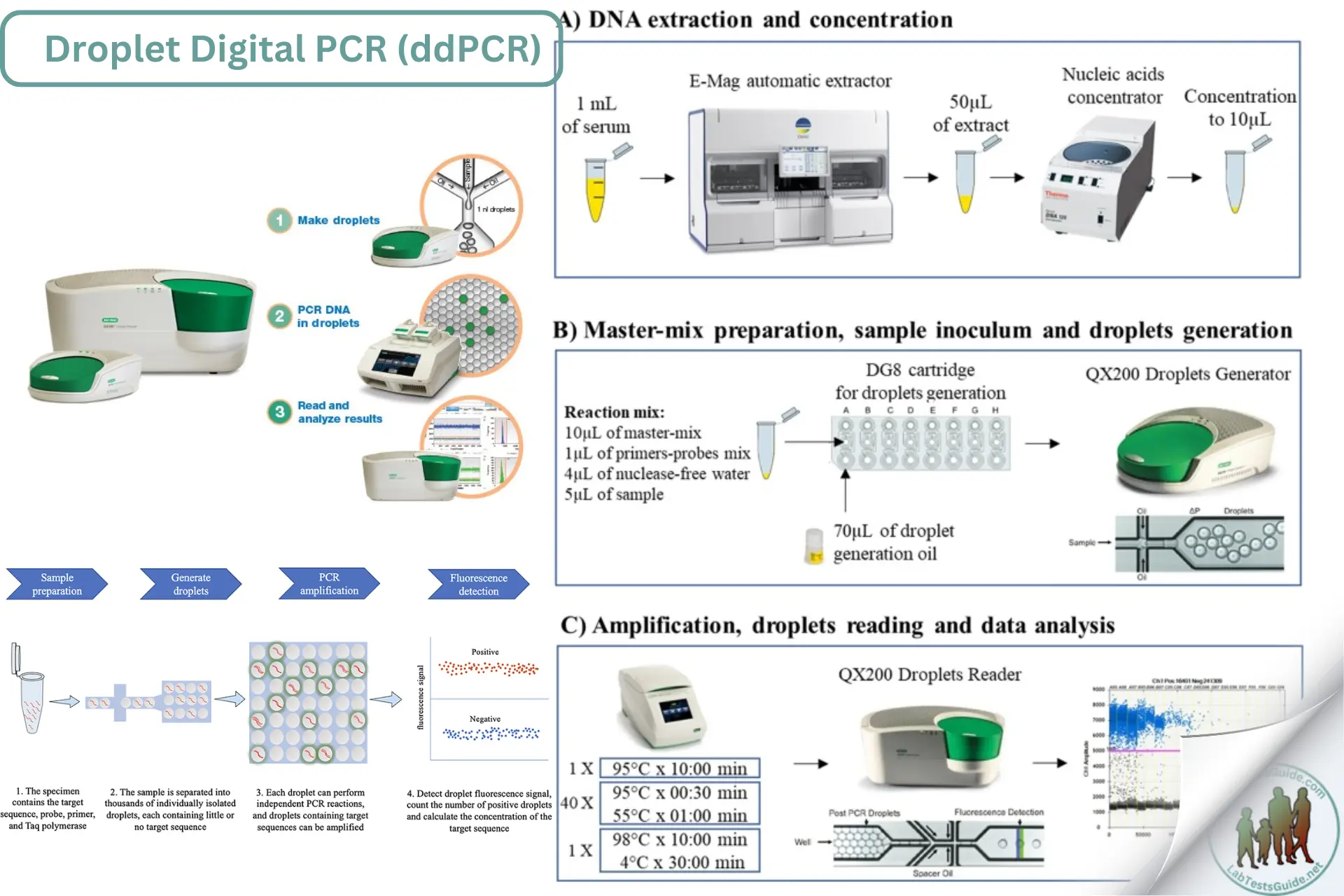 Droplet Digital PCR (ddPCR)