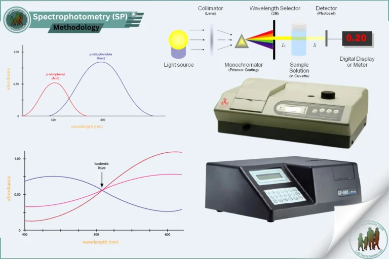 Spectrophotometry (SP)